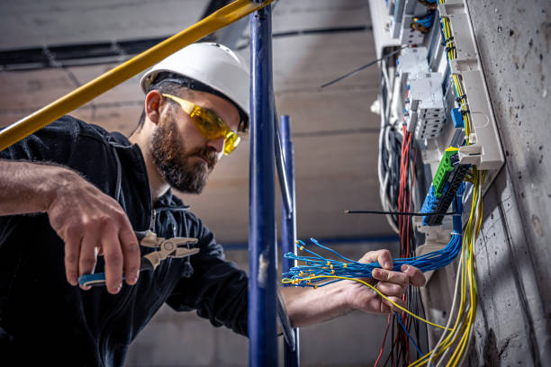 Best Licensed Electrician  in Boulevard Gardens, FL