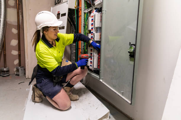 Best Electric Panel Repair  in Boulevard Gardens, FL