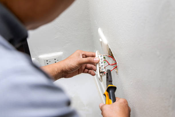 Best Local Electrician Companies  in Boulevard Gardens, FL