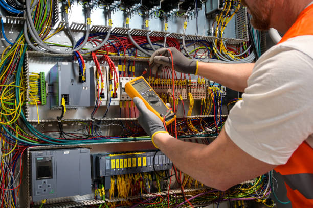Best Electric Panel Repair  in Boulevard Gardens, FL