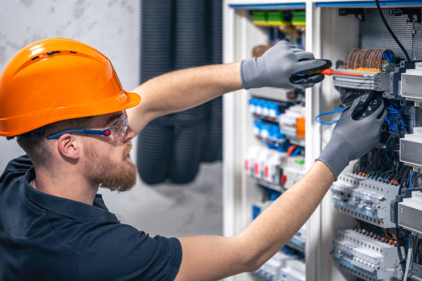 Best Electrician for Home Renovation  in Boulevard Gardens, FL